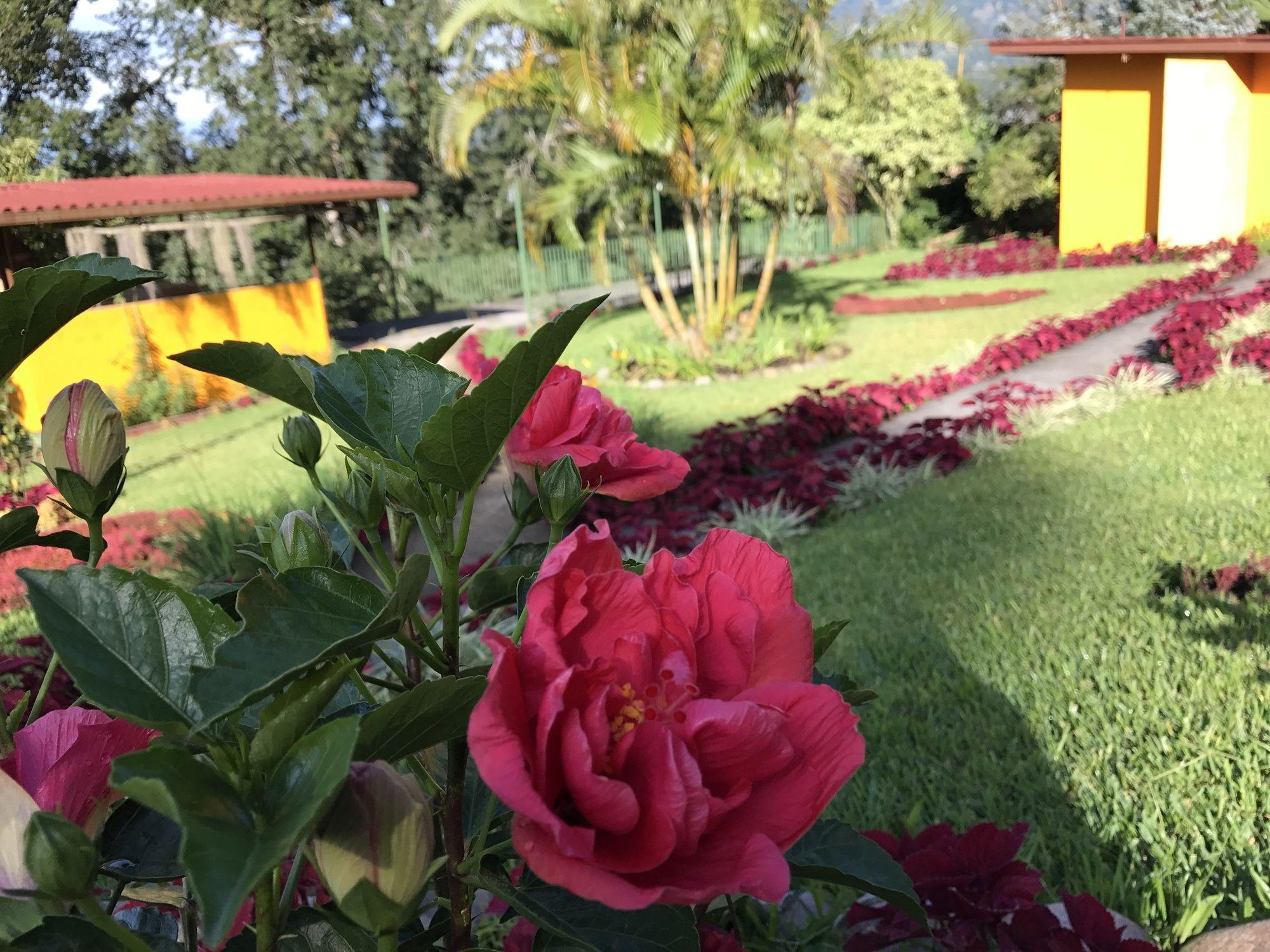 Santuario Lodge Agro-Hotel Boquete Eksteriør bilde