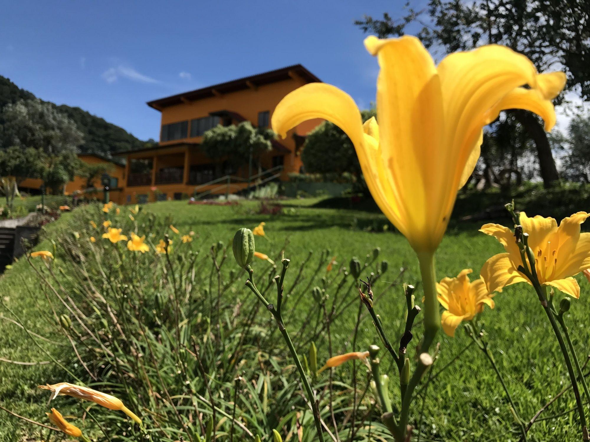 Santuario Lodge Agro-Hotel Boquete Eksteriør bilde